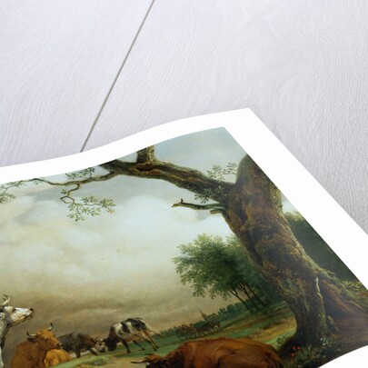 Painting of Cattle in a Field by Paulus Potter