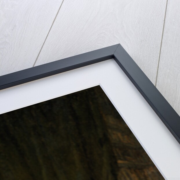 A Lawyer Seated at a Desk Reading a Letter by Adriaen van Ostade