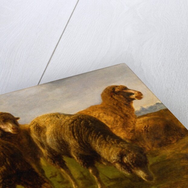 Sheep Grazing in a Meadow by Rosa Bonheur