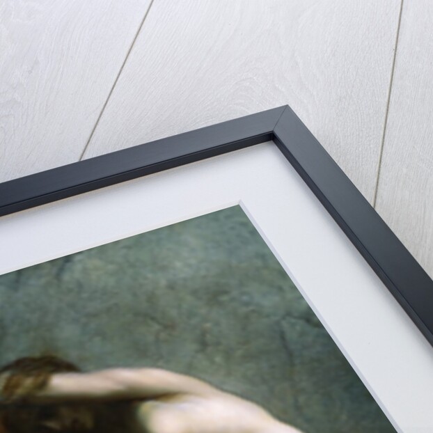 Andromeda by Gustave Dore