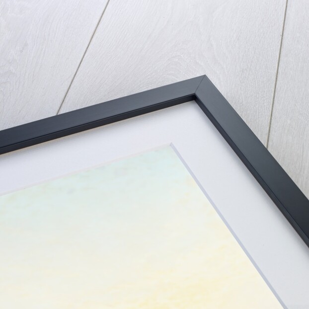 French Ironclads by Herman Sillen