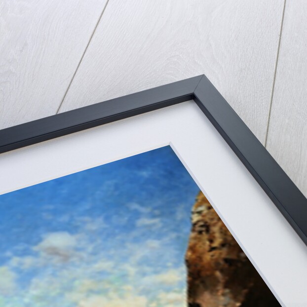 A Norwegian Fjord by Julius Rose