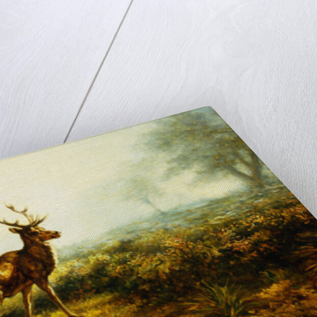 The Stag, Effect of the Morning by Rosa Bonheur
