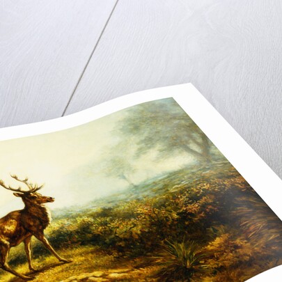 The Stag, Effect of the Morning by Rosa Bonheur
