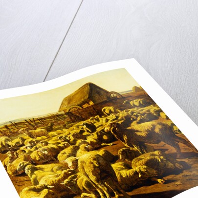 Sheep by Rosa Bonheur