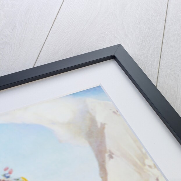 Flora Alpina by Edward Reginald Frampton