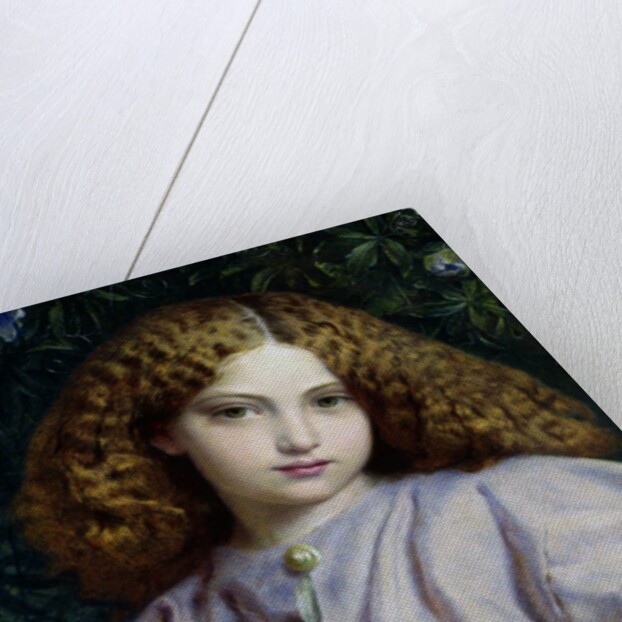 The Fair Conchologist by Alfred Walter Bayes