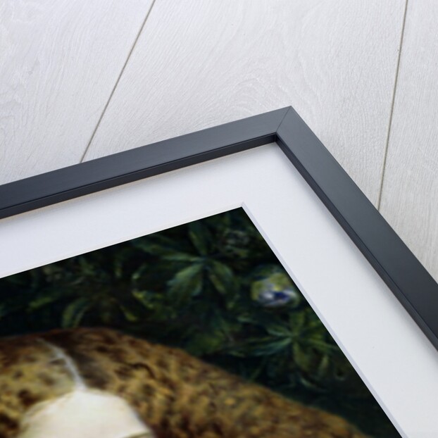 The Fair Conchologist by Alfred Walter Bayes