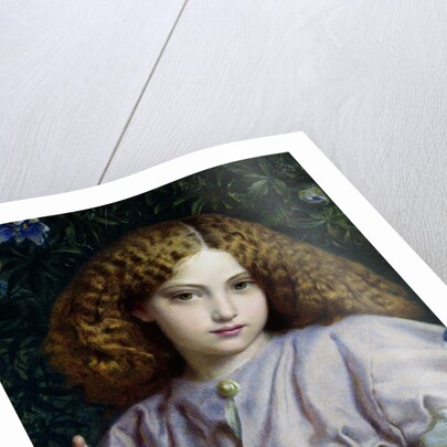 The Fair Conchologist by Alfred Walter Bayes