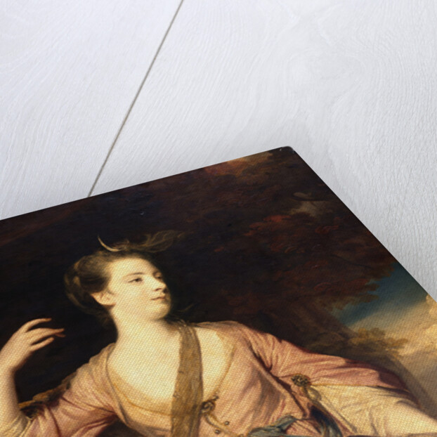Lady Anne Dawson by Joshua Reynolds