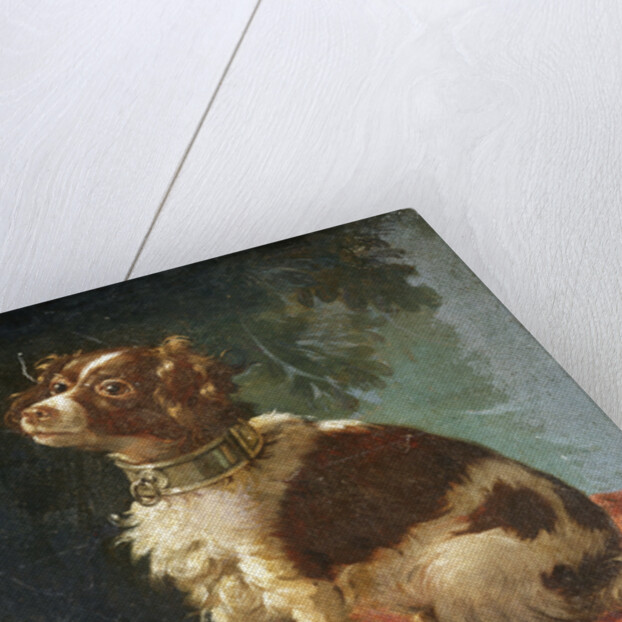 A Spaniel on a Cushion by Circle of Giacomo Antonio Ceruti