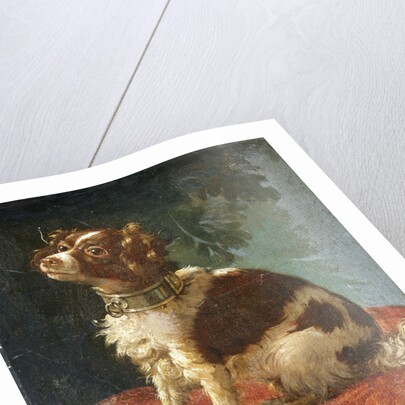 A Spaniel on a Cushion by Circle of Giacomo Antonio Ceruti