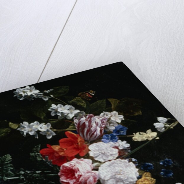 A Swag of Pink and White Roses by Nicolaes van Veerendael