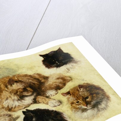 Studies of Cats by Henriette Ronner-Knip