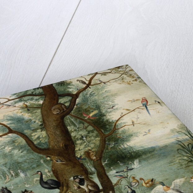 Animals and Birds in the Garden of Eden by School of Ferdinand van Kessel