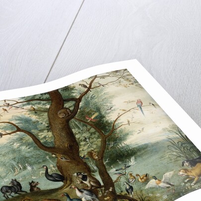 Animals and Birds in the Garden of Eden by School of Ferdinand van Kessel