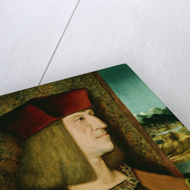 Portrait of Emperor Maximilian I, Half-Length, Wearing the Collar and Badge of the Golden Fleece by Bernhard Stringle