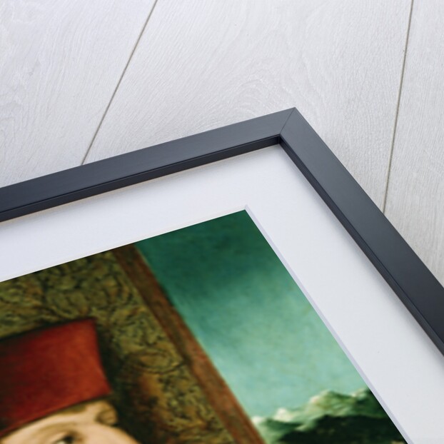 Portrait of Emperor Maximilian I, Half-Length, Wearing the Collar and Badge of the Golden Fleece by Bernhard Stringle