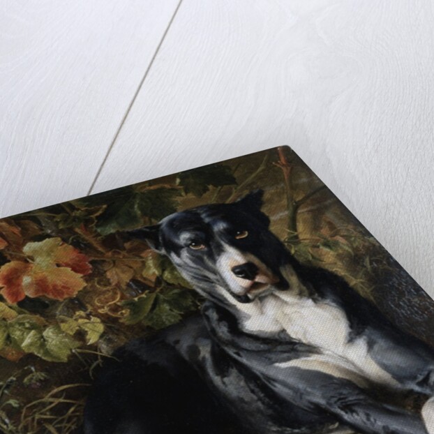 A Brindle Great Dane by Wilhelm Trautschold