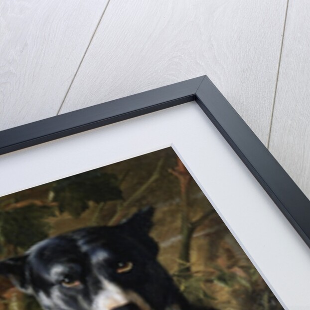 A Brindle Great Dane by Wilhelm Trautschold