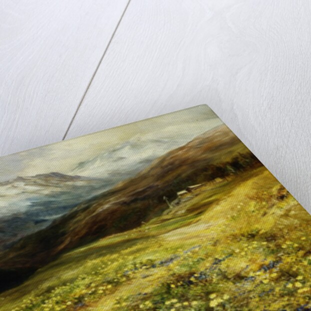 Flowers of the Alps by John MacWhirter