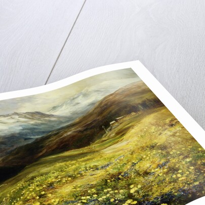 Flowers of the Alps by John MacWhirter