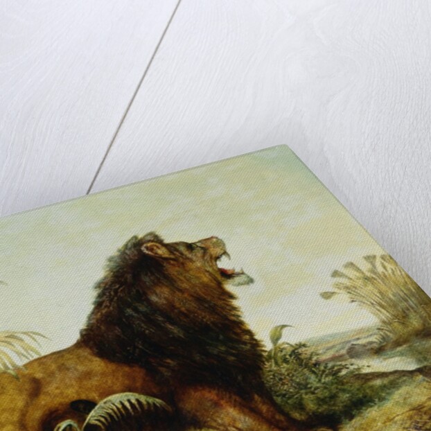 A Lion in a Jungle Landscape by William Huggins