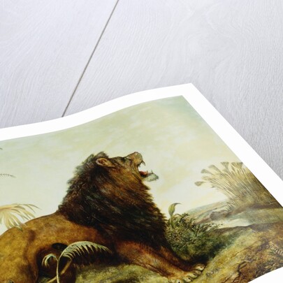 A Lion in a Jungle Landscape by William Huggins