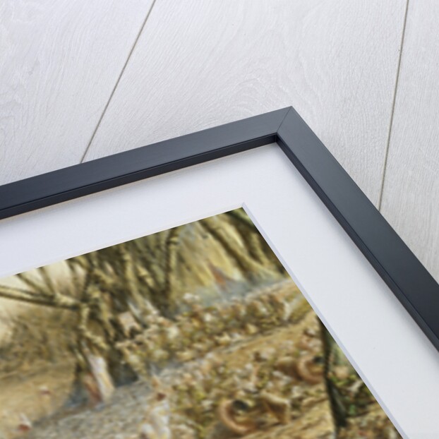 The Batrachomyomachia: The Battle Between the Frogs and the Mice by Henry Barnabus Bright