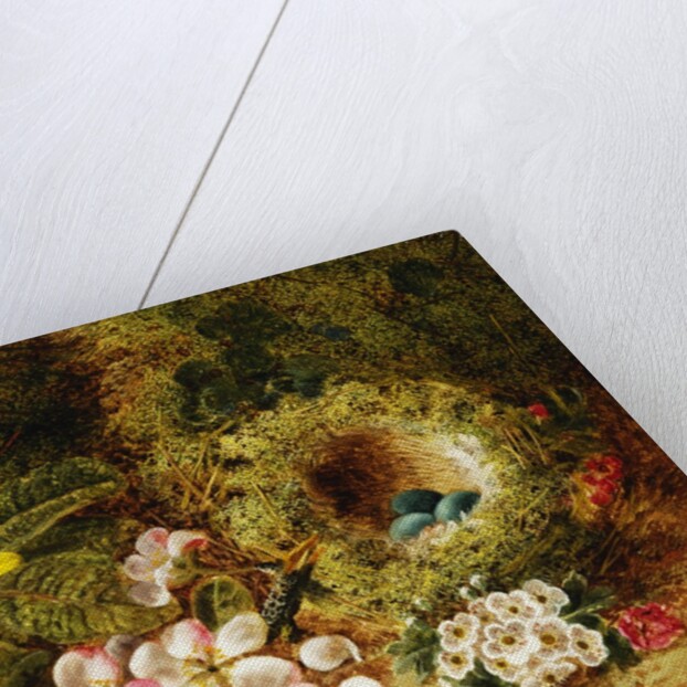 A Primrose and Birds Nest on a Mossy Bank by Oliver Clare