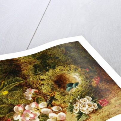A Primrose and Birds Nest on a Mossy Bank by Oliver Clare