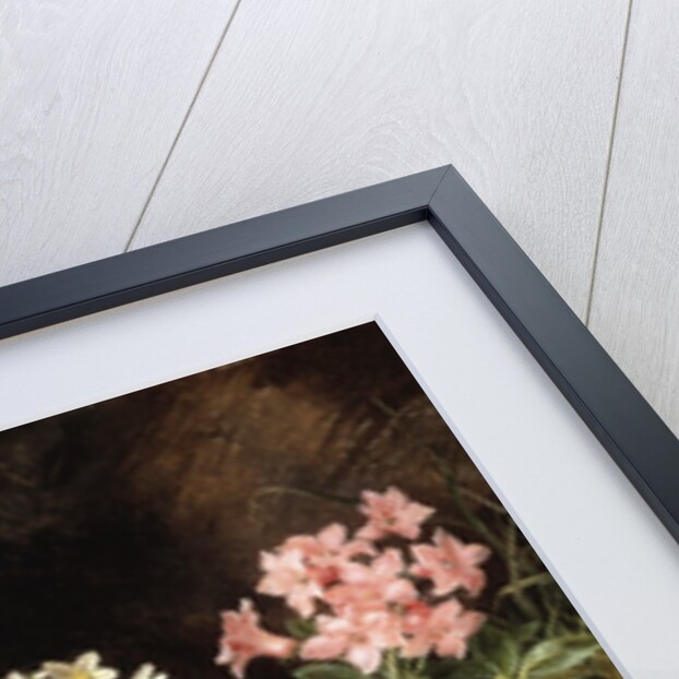 Edelweiss and Other Alpine Flowers by Theodor Petter