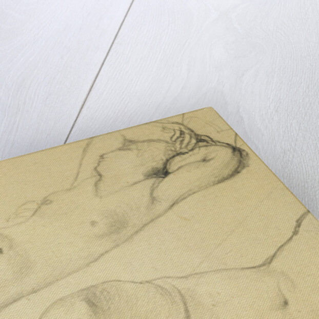 A Reclining Female Nude by Jean August Dominique Ingres