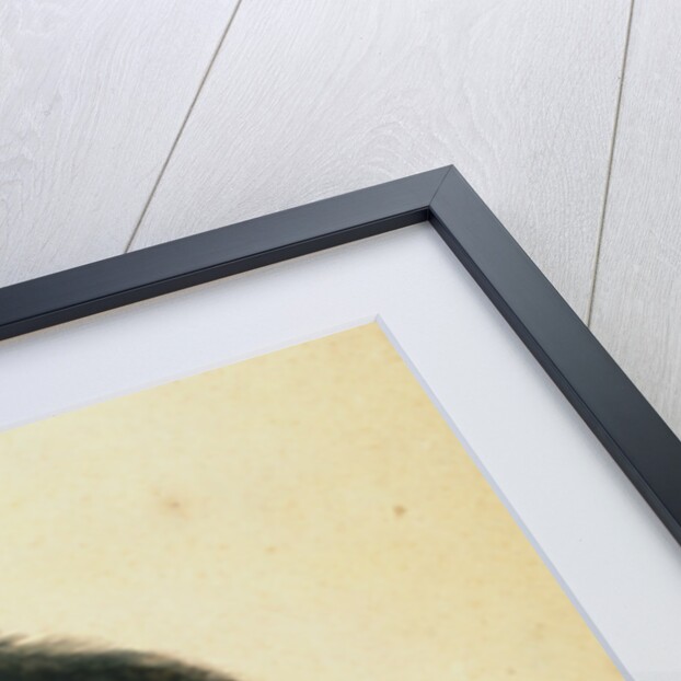 A Wild Boar at Bay by Jean-Baptiste Oudry