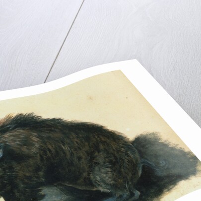 A Wild Boar at Bay by Jean-Baptiste Oudry