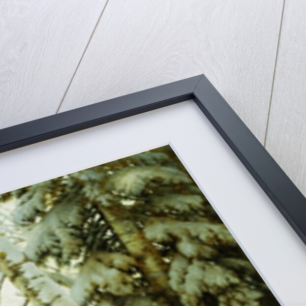 Winter Morning by Gavriil Pavlovich Kondrachenko