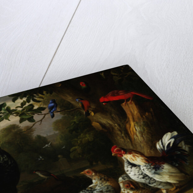 Poultry and Other Birds in the Garden of a Mansion by Jakob Bogdany