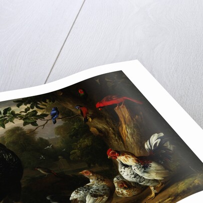 Poultry and Other Birds in the Garden of a Mansion by Jakob Bogdany