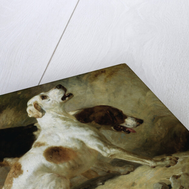 Foxhounds, Fox Gone to Earth: The Two Hounds Messmate and Coventry by Thomas Woodward