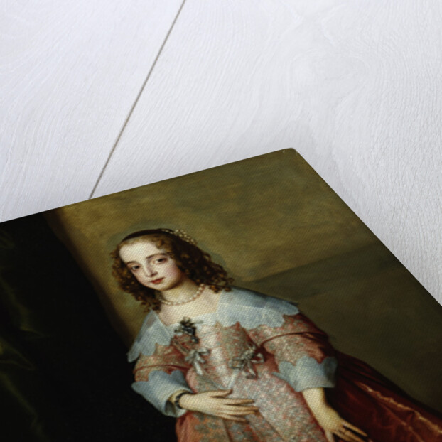 Portrait of Mary, Princess Royal by Sir Anthony van Dyck