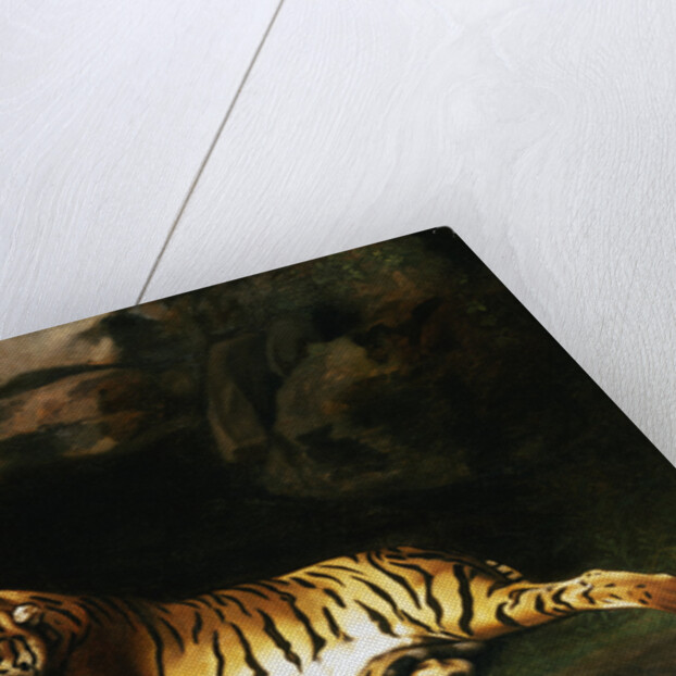 Portrait of the Royal Tiger by George Stubbs