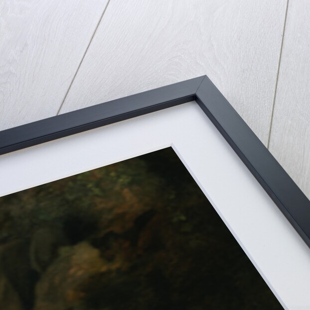 Portrait of the Royal Tiger by George Stubbs