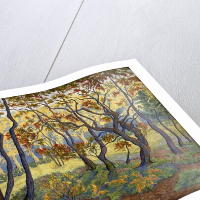 The Clearing by Paul Ranson