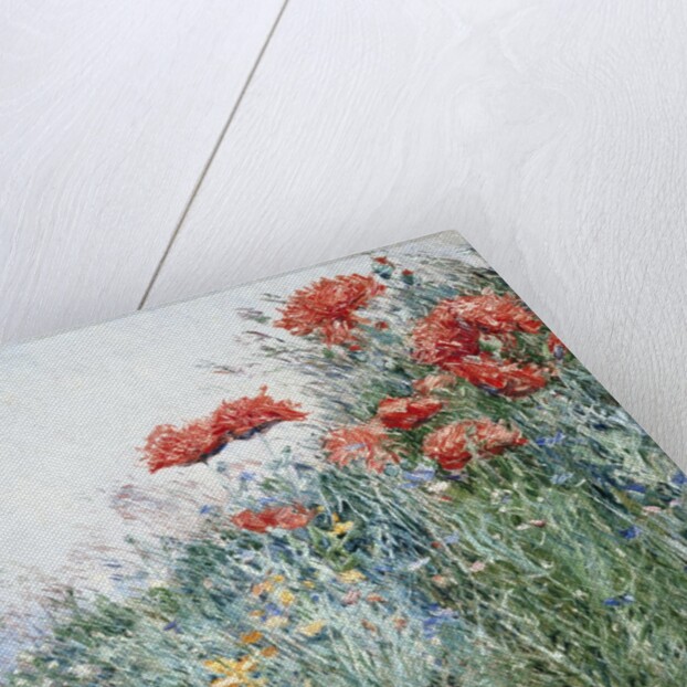 Poppies, Appledore by Childe Hassam