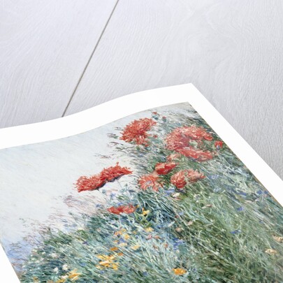 Poppies, Appledore by Childe Hassam