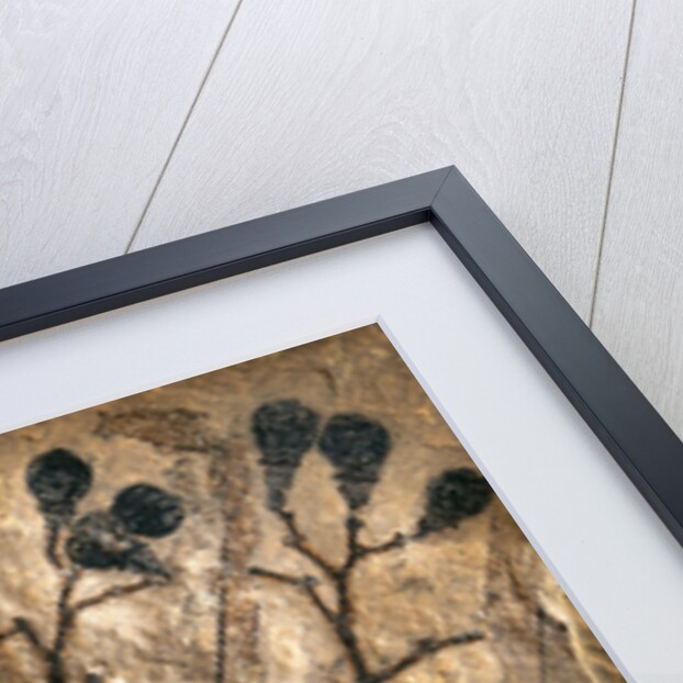 Fossil of Basswood Stems and Berries by Anonymous