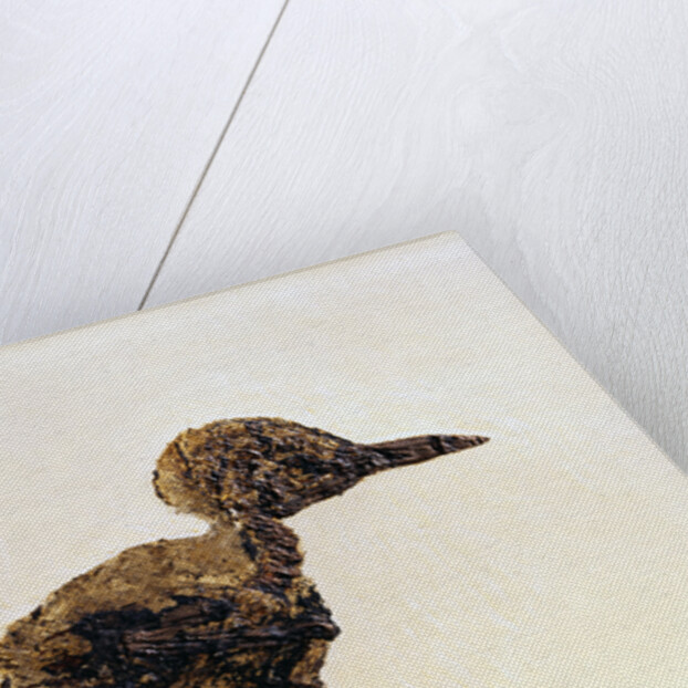 Fossil of Small Bird from Messel Site by Anonymous