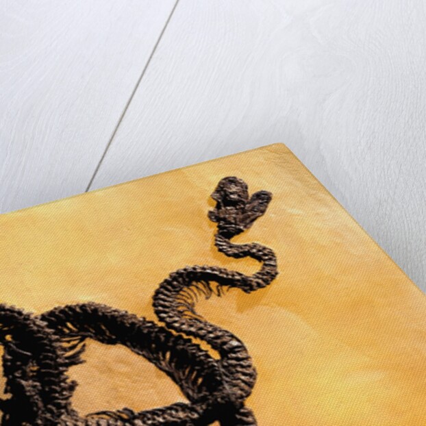 Complete Fossil of Large Snake by Anonymous