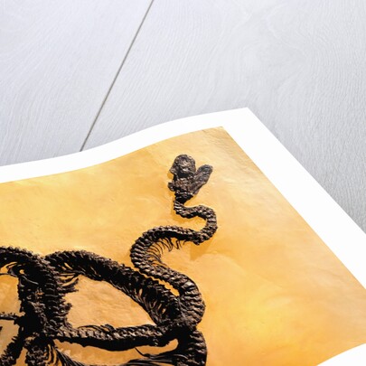 Complete Fossil of Large Snake by Anonymous