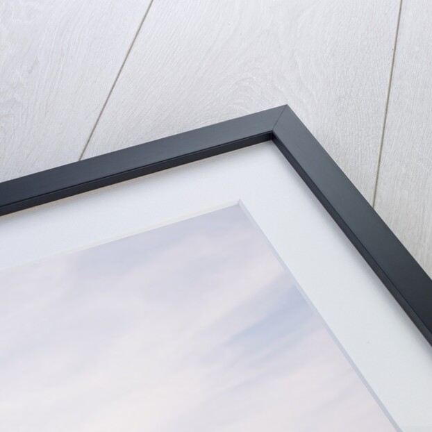 Gun Turrets of the U.S.S. Iowa by Anonymous